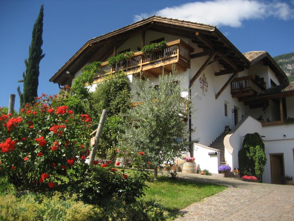Gfillhof Ferienwohnung 1 Appiano Sulla Strada Del Vino Exterior photo