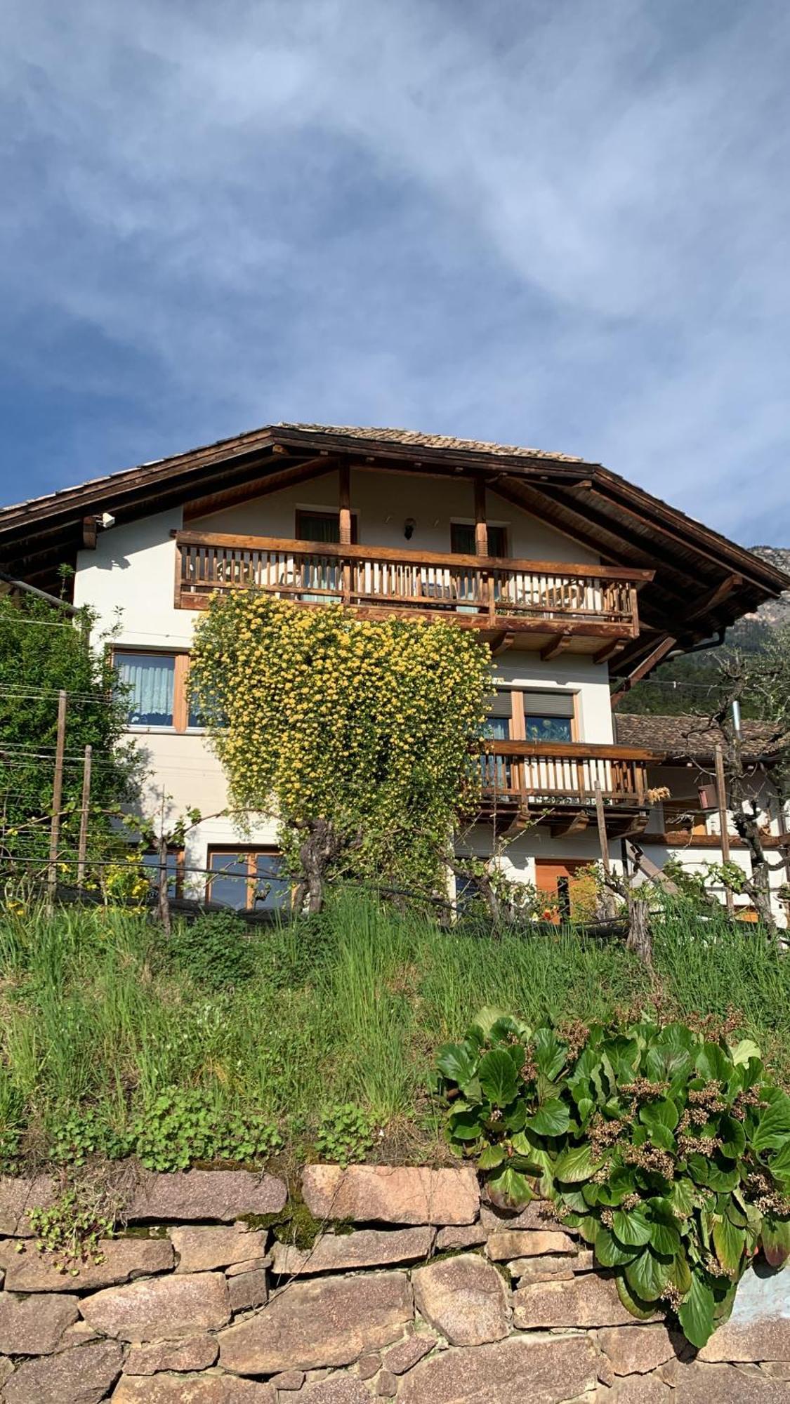 Gfillhof Ferienwohnung 1 Appiano Sulla Strada Del Vino Exterior photo