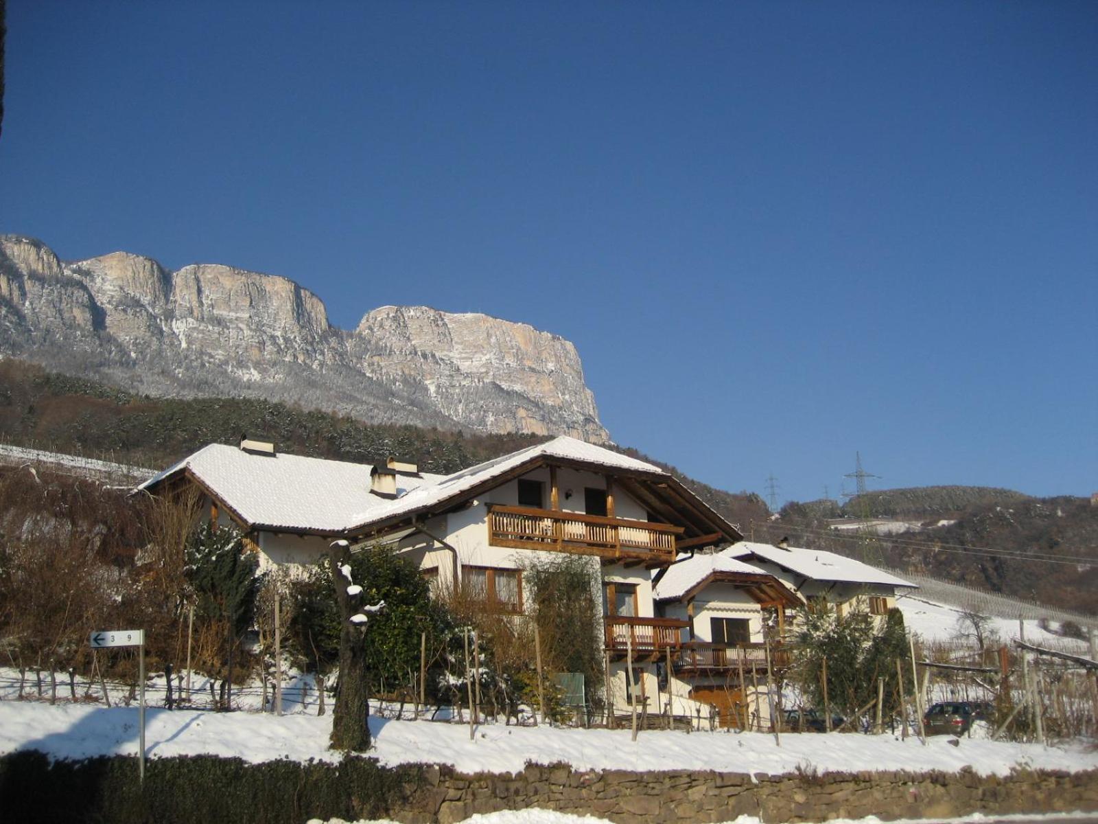Gfillhof Ferienwohnung 1 Appiano Sulla Strada Del Vino Exterior photo